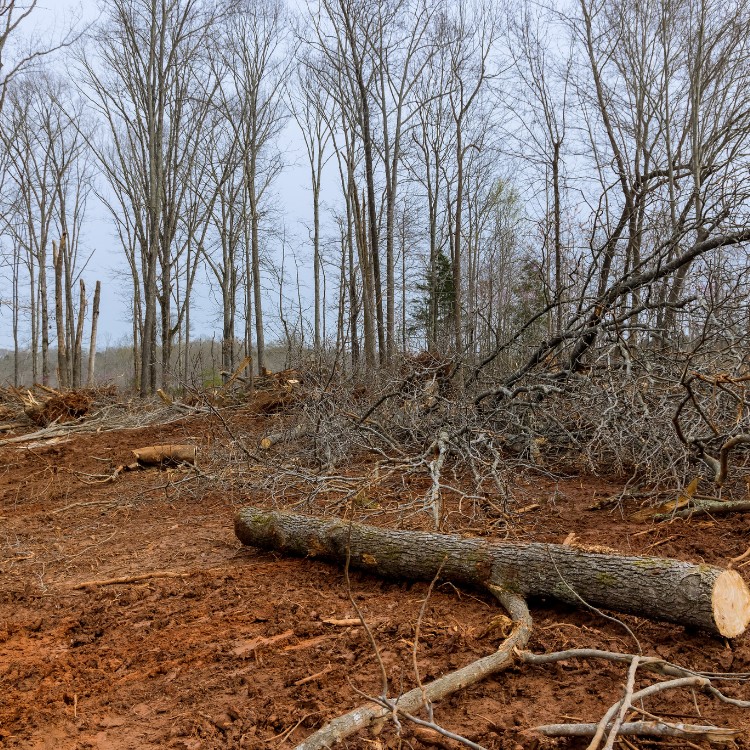 Driveways and Land Clearing in Bellville, TX