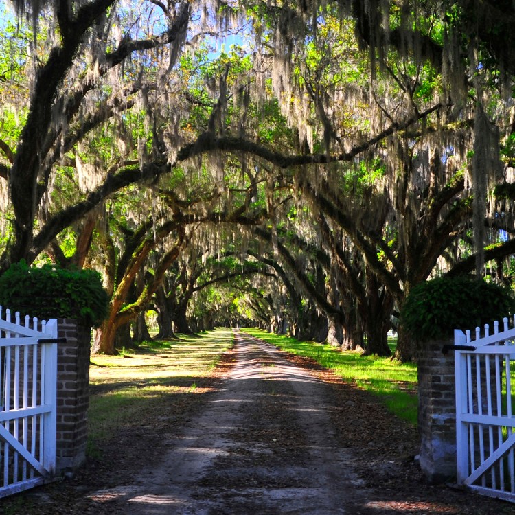 Driveways and Land Clearing in Bellville, TX