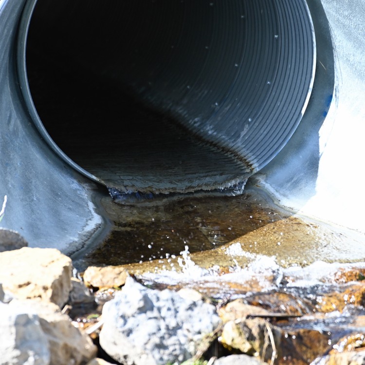 Driveways and Land Clearing in Bellville, TX