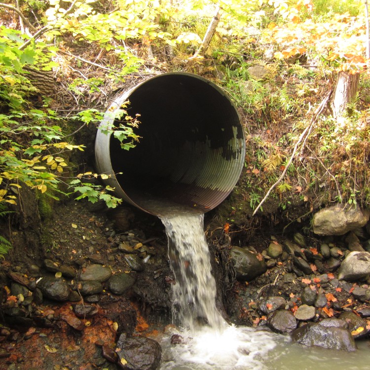 Driveways and Land Clearing in Bellville, TX